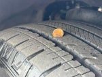 2025 Expedition Thumbnail 11
