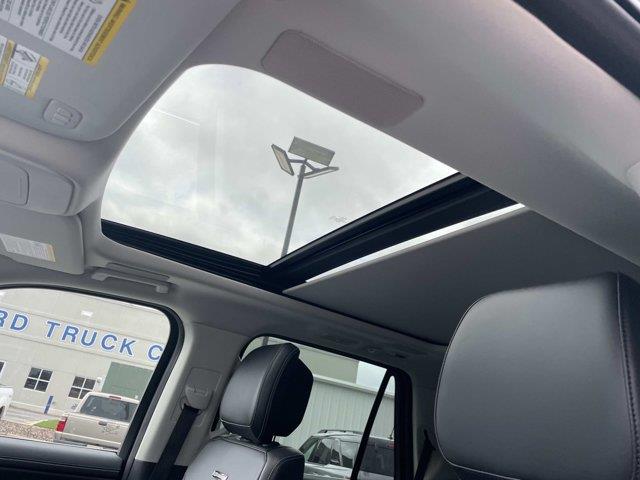 2026 Ford Expedition