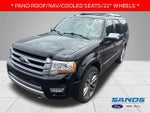 2017 Expedition Thumbnail 1