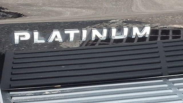 2021 Ford Expedition Platinum