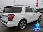 2020 Expedition Thumbnail 5