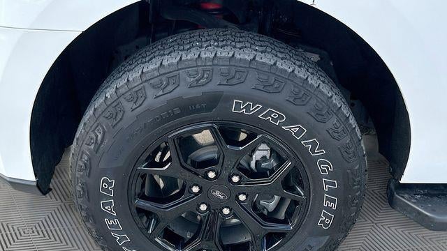 2024 Ford Expedition Timberline