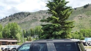 2024 Ford Expedition Timberline