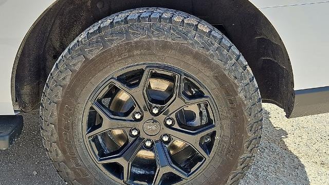 2024 Ford Expedition Timberline