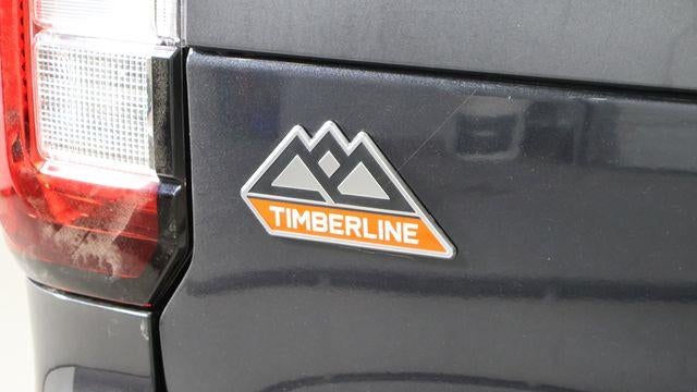 2024 Ford Expedition Timberline