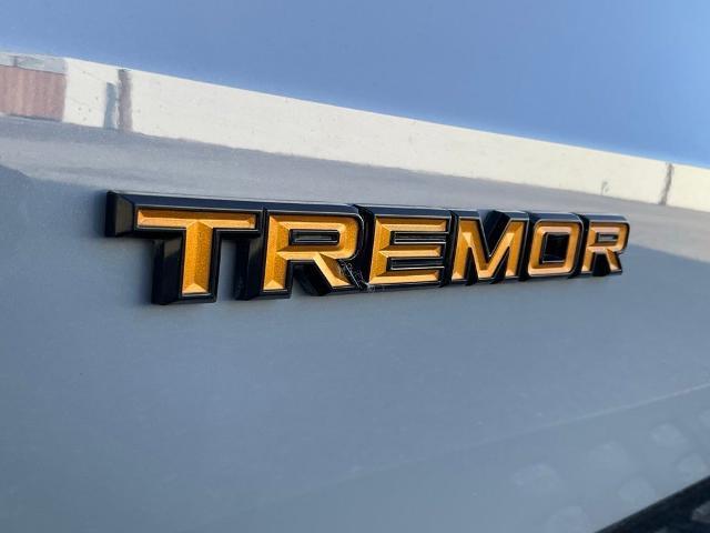 2025 Ford Expedition - $73,988