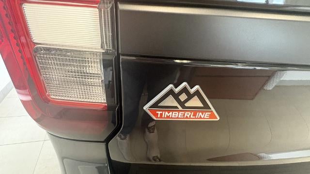 2024 Ford Expedition Timberline