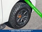 2025 Expedition Thumbnail 12