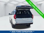 2025 Expedition Thumbnail 13