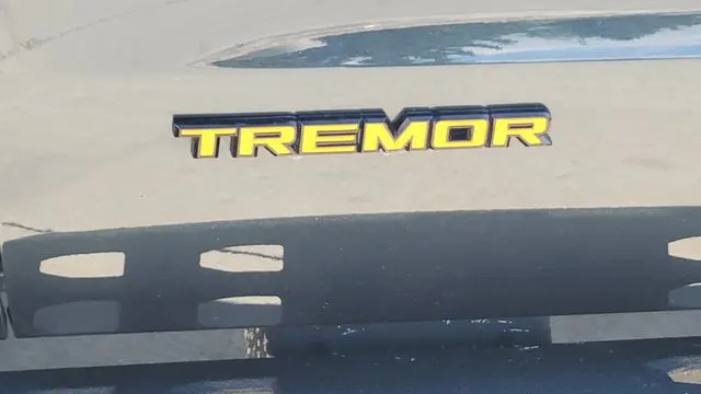 2025 Ford Expedition Tremor