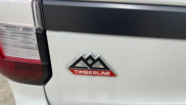 2022 Ford Expedition Timberline