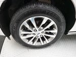 2018 Expedition Thumbnail 25