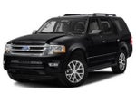 2016 Expedition Thumbnail 1
