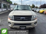 2017 Expedition Thumbnail 2