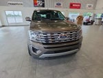 2019 Expedition Thumbnail 5