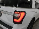 2020 Expedition Thumbnail 19