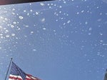 2026 Explorer Thumbnail 28