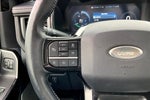 2023 F-150 Lightning Thumbnail 21
