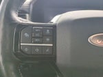 2023 F-150 Lightning Thumbnail 33