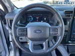2024 F-150 Lightning Thumbnail 17