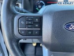 2024 F-150 Lightning Thumbnail 18