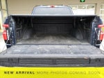 2024 F-150 Lightning Thumbnail 13