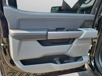 2024 F-150 Lightning Thumbnail 11