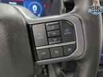 2025 F-150 Lightning Thumbnail 18
