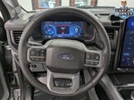 2025 F-150 Lightning Thumbnail 21