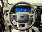 2025 F-150 Lightning Thumbnail 11