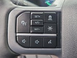 2025 F-150 Lightning Thumbnail 13
