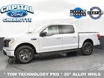 2025 F-150 Lightning Thumbnail 4