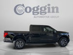 2025 F-150 Lightning Thumbnail 6
