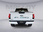 2025 F-150 Lightning Thumbnail 4