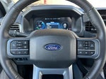 2025 F-150 Lightning Thumbnail 20