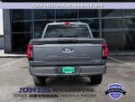 2025 F-150 Lightning Thumbnail 4