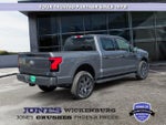 2025 F-150 Lightning Thumbnail 5