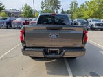 2025 F-150 Lightning Thumbnail 4