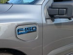2025 F-150 Lightning Thumbnail 11