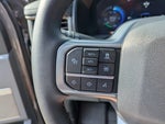 2025 F-150 Lightning Thumbnail 19