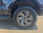 2025 F-150 Lightning Thumbnail 15