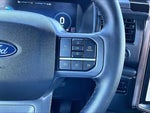 2025 F-150 Lightning Thumbnail 18