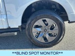 2024 F-150 Lightning Thumbnail 21