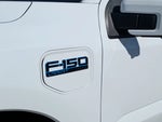 2025 F-150 Lightning Thumbnail 12