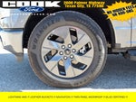 2025 F-150 Lightning Thumbnail 23