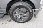 2024 F-150 Lightning Thumbnail 10