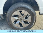 2025 F-150 Lightning Thumbnail 21
