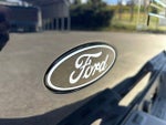 2025 F-150 Lightning Thumbnail 35