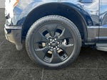 2025 F-150 Lightning Thumbnail 1