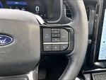 2025 F-150 Lightning Thumbnail 18